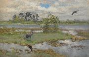 bruno liljefors Landscape With Cranes at the Water Spain oil painting artist